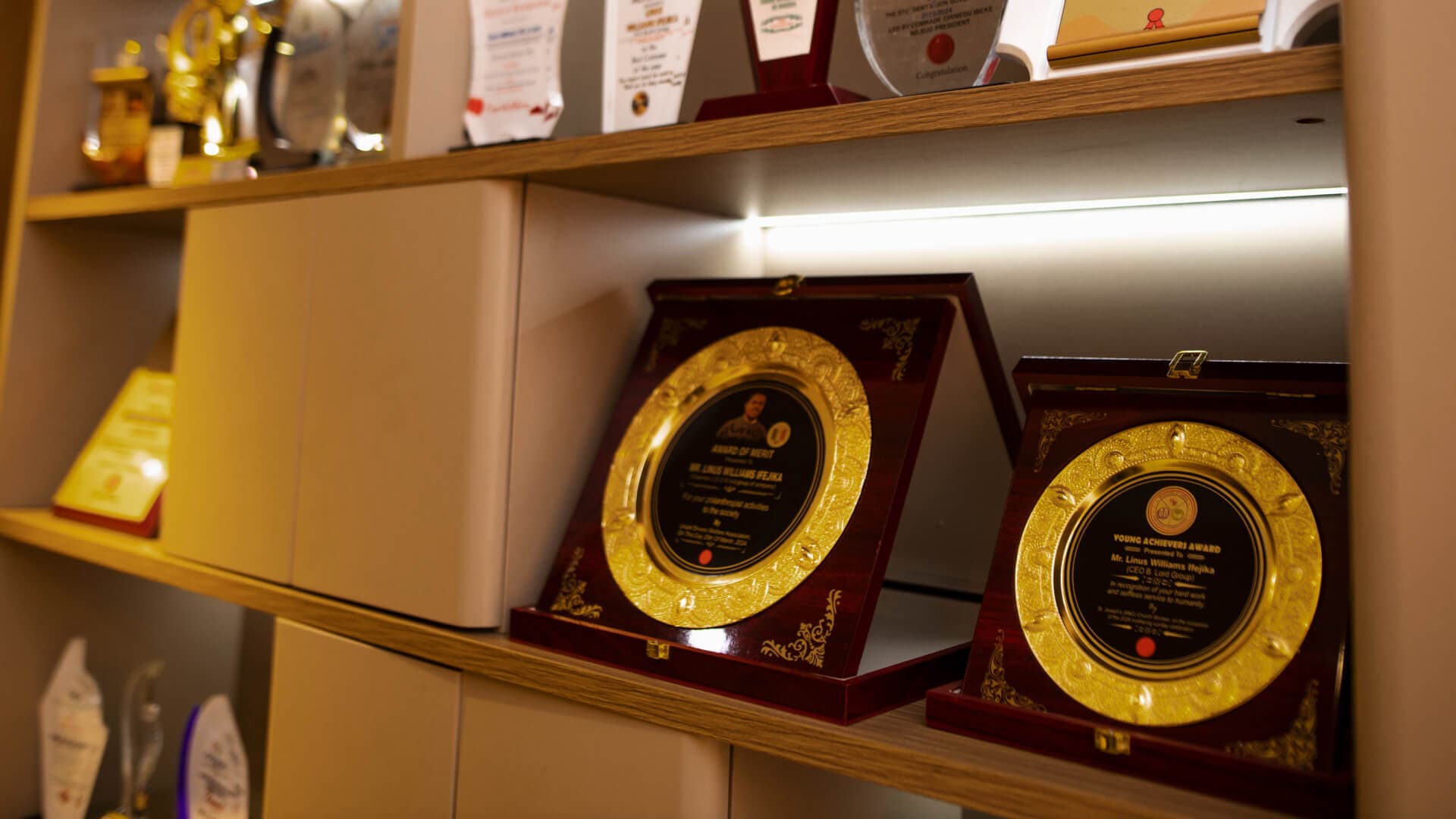 Distinguished Achievements